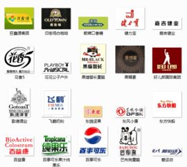 雙城品牌策劃公司 專業(yè)咨詢與創(chuàng)意服務(wù)，助力品牌成長(zhǎng)