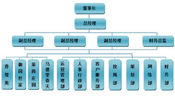 索象營銷策劃公司 以專業(yè)咨詢策劃服務(wù)為核心的組織架構(gòu)解析